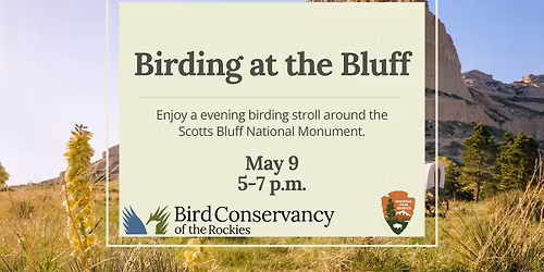 Birding at the Bluff