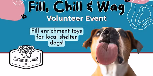 Fill, Chill & Wag Volunteer Event