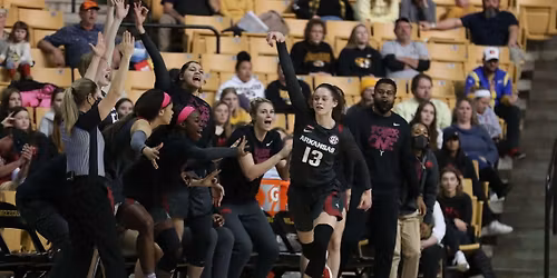 Arkansas Razorbacks at Missouri Tigers Womens Basketball at Mizzou Arena