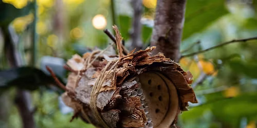 Native bee hotel workshop with Urban Bee Co.