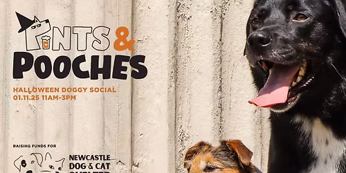 Pints & Pooches | Halloween Doggy Social