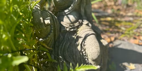 Higher Wisdom with Jeff Prabhakar Migdow, MD, RYT-500