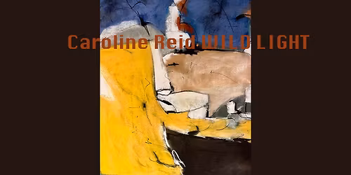 Caroline Reid WILD LIGHT art exhibition opening night