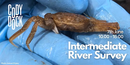 Intermediate River Survey