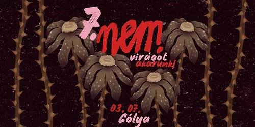 Nem vir\u00e1got akarunk! ~ n\u0151napi minifeszt 2026