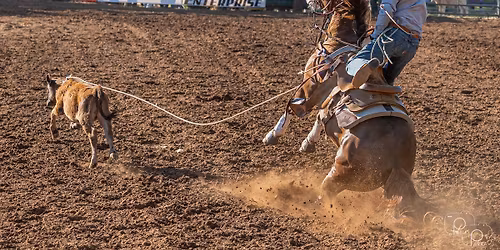 67th Annual Penn Valley Rodeo