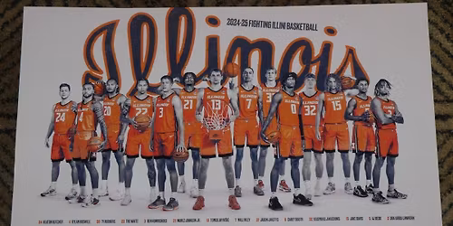 Illinois Fighting Illini vs. Alabama Crimson Tide