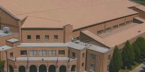 Denver Pioneers Women's Gymnastics vs. Arizona Wildcats