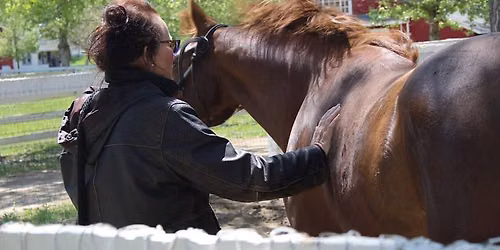 (IET OSTEO 3) Equine Osteopathic Techniques, Visceral Manipulation with Tom Mayes Placerville, CA