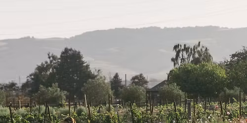 Wine dinner at A16 Napa : an evening with Cassidy Ranch