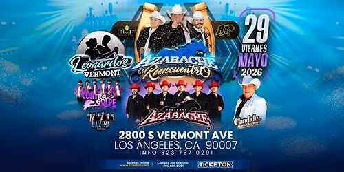 EL REENCUENTRO DE AZABACHE 