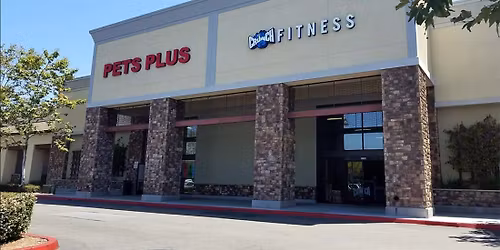 Vista - Dog dental cleaning