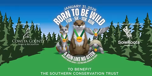 Born to Be Wild 5K\/10K\/Fun Run