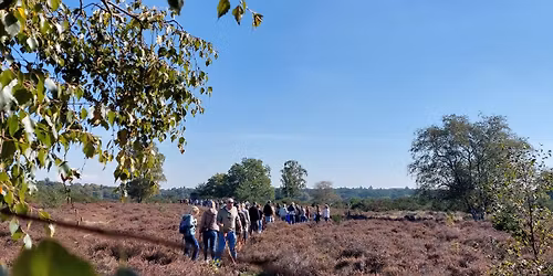 Heidewandeling Hilversum