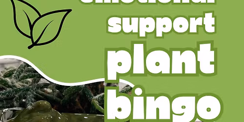 Emotional Support Plant Bingo\ud83c\udf31\ud83e\udeb4