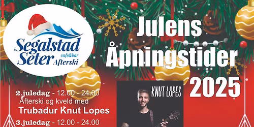 Julens underholdning \ud83c\udfb6