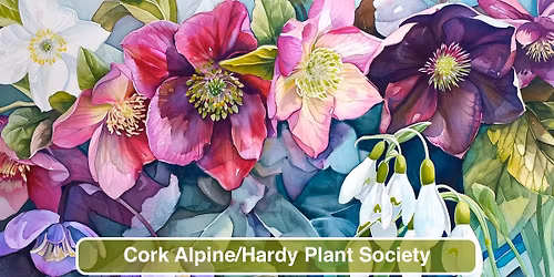 Dean Charlton - The Journey of Hooten's Walled Nursery