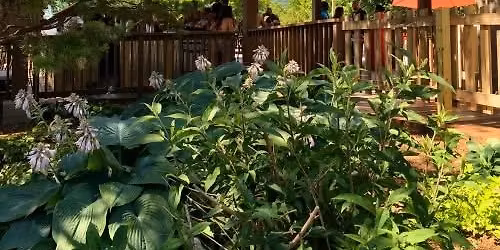 J.P. live at Moonshine Bar