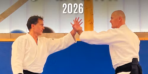 Aikido Seminar At The North Sea Van Gils - Crenier