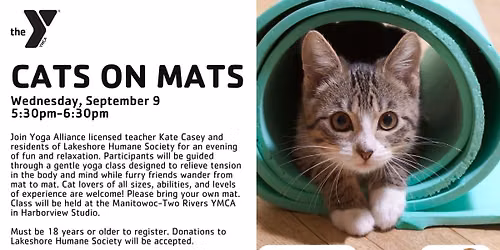 Cats on Mats