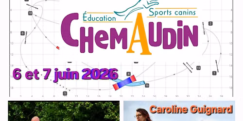 concours agility double CHEMAUDIN 