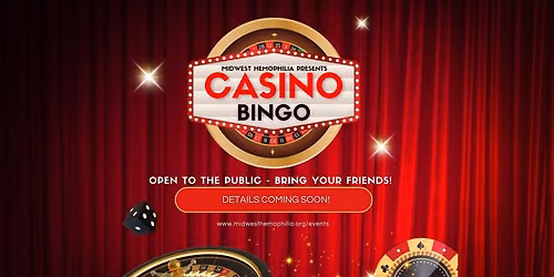 Casino BINGO Fundraiser