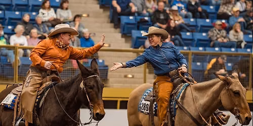 Draft Horse Show - Sat. Jan. 23 1pm