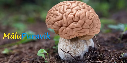 M\u00e4luPuravik vol Veinitall