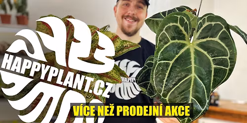 Mat\u011bj z HAPPYPLANT\ud83d\udd25 Exotick\u00e9 pokojovky \ud83c\udf3f \u0160UMPERK