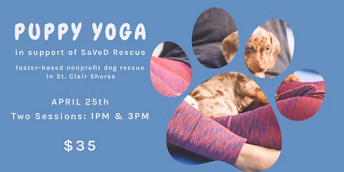 Puppy Yoga at Shores Yoga