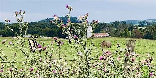 Summer Blooms Workshop: Botany and Bloom Series