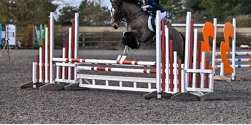 Rutland Riding Club Show Jumping Competition 