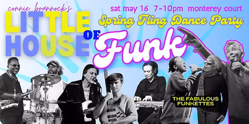 SPRING FLING MAY DANCE PARTY