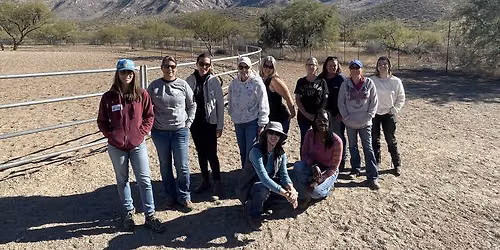 Tucson, AZ: Beyond Horse Massage Weekend Course with Vanessa Helvey