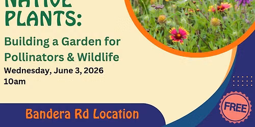 Native Plants: Building a Garden for Pollinators & Wildlife