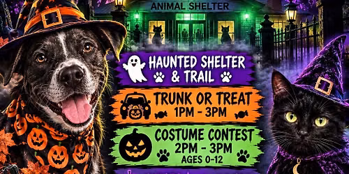 The Haunting at the Animal Shelter