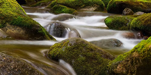 Making Better Waterfall Photography by Cecil Holmes, Tamron Photographer