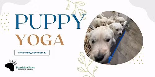 Puppy Yoga