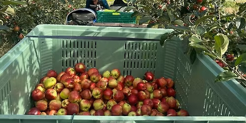 Sider middag med Kvestad!