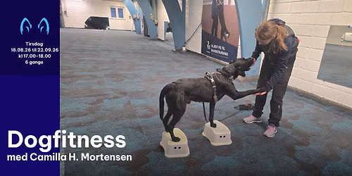 Hold - Dogfitness - Tirsdag 18.08.26 til 22.09.26 kl 17.00-18.00 - 6 gange - Camilla H. Mortensen