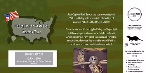 250 USA Tour - Barred Owls