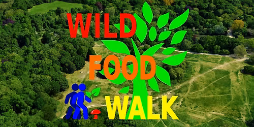 June Hampstead Heath (London) Wild Food Foraging\/ Foragers Walk.