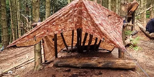 Bushcraft Thursdays