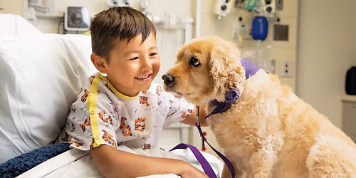 Therapy Dog Class