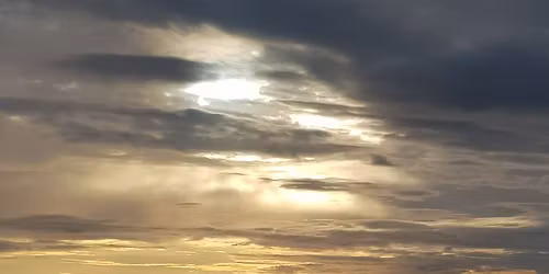 Soften into Stillness, Sink into Sound