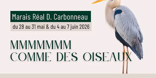 MMMMMMM Comme des oiseaux