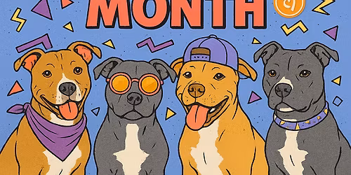 Pittbull at LDLC Arena