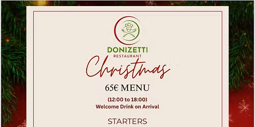 Christmas\/New year party