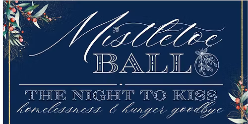 SoulFish Performs at the Charlotte CARE Center Mistletoe Ball