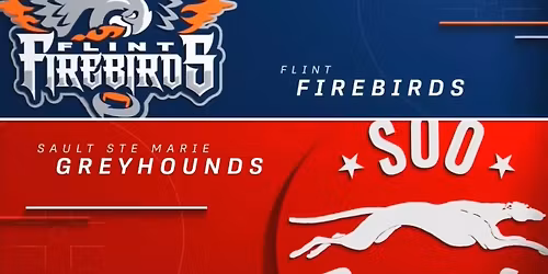Flint Firebirds vs. Sault Ste. Marie Greyhounds